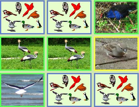 partly uncovered field of cards