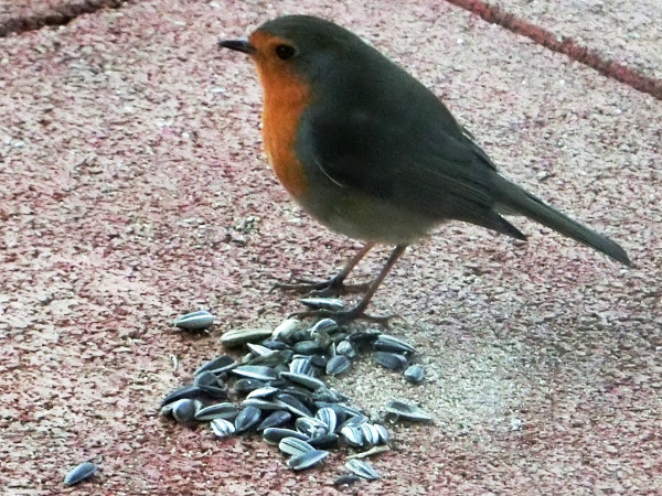 Robin: I dont like this.