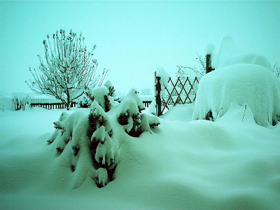 Overwhelmingly much snow