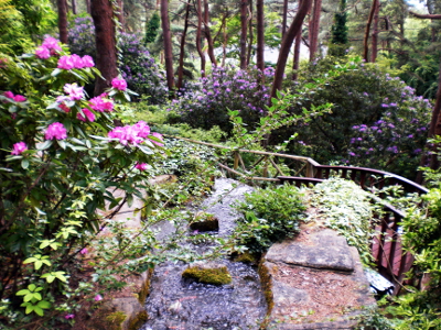 A garden as a symbol for the Sing summer