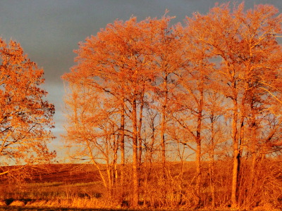 The landscape glazes golden in the sundown